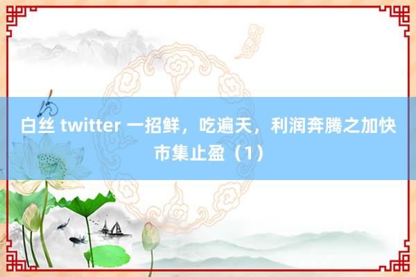 白丝 twitter 一招鲜，吃遍天，利润奔腾之加快市集止盈（1）