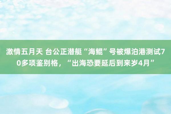 激情五月天 台公正潜艇“海鲲”号被爆泊港测试70多项鉴别格，“出海恐要延后到来岁4月”