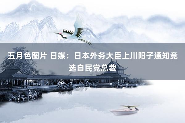 五月色图片 日媒：日本外务大臣上川阳子通知竞选自民党总裁