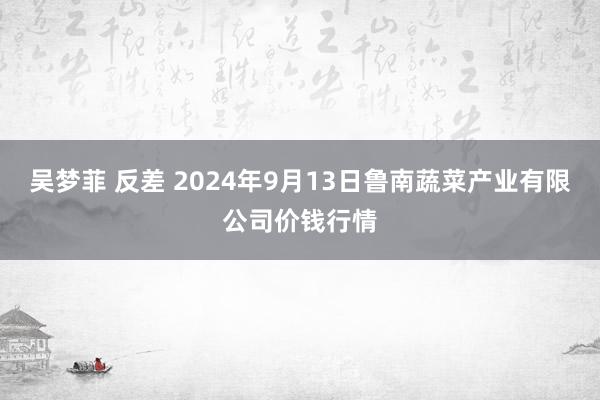 吴梦菲 反差 2024年9月13日鲁南蔬菜产业有限公司价钱行情