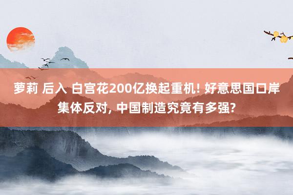 萝莉 后入 白宫花200亿换起重机! 好意思国口岸集体反对， 中国制造究竟有多强?