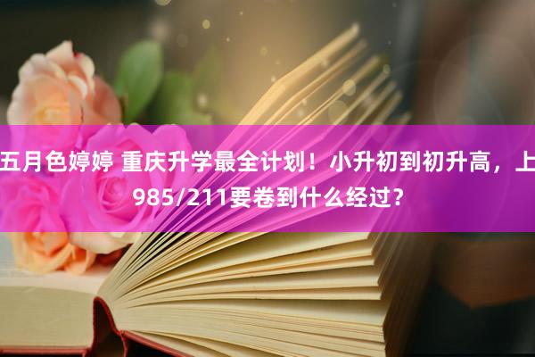 五月色婷婷 重庆升学最全计划！小升初到初升高，上985/211要卷到什么经过？