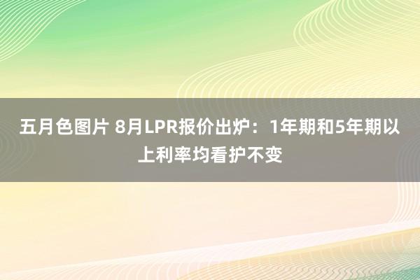 五月色图片 8月LPR报价出炉：1年期和5年期以上利率均看护不变