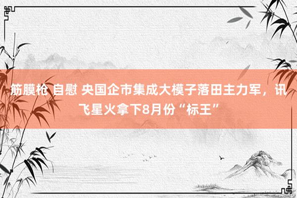 筋膜枪 自慰 央国企市集成大模子落田主力军，讯飞星火拿下8月份“标王”