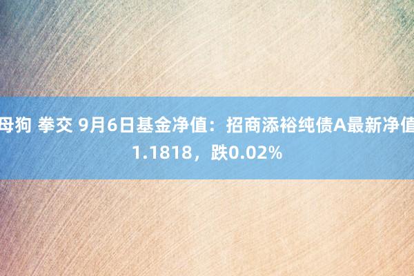 母狗 拳交 9月6日基金净值：招商添裕纯债A最新净值1.1818，跌0.02%