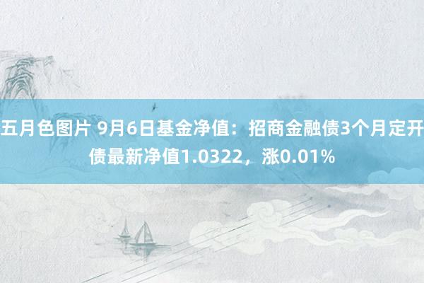 五月色图片 9月6日基金净值：招商金融债3个月定开债最新净值1.0322，涨0.01%