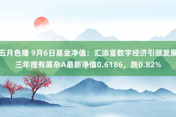 五月色播 9月6日基金净值：汇添富数字经济引颈发展三年捏有羼杂A最新净值0.6186，跌0.82%