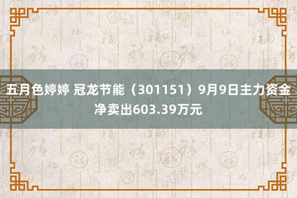 五月色婷婷 冠龙节能（301151）9月9日主力资金净卖出603.39万元