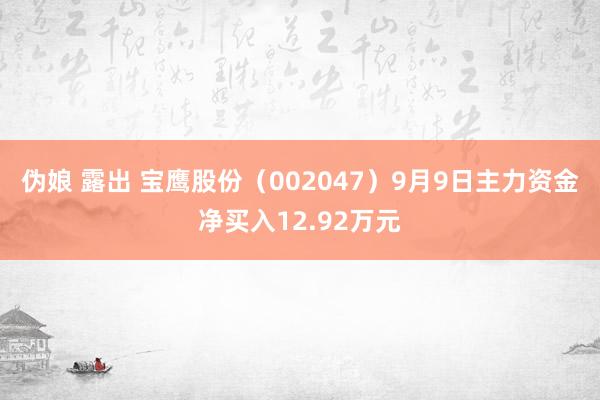 伪娘 露出 宝鹰股份（002047）9月9日主力资金净买入12.92万元