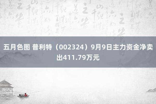 五月色图 普利特（002324）9月9日主力资金净卖出411.79万元