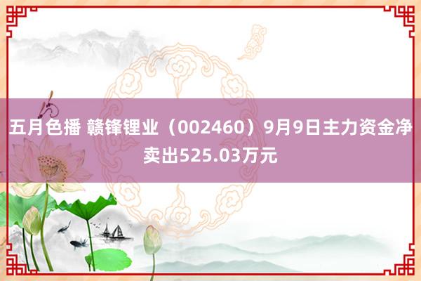 五月色播 赣锋锂业（002460）9月9日主力资金净卖出525.03万元