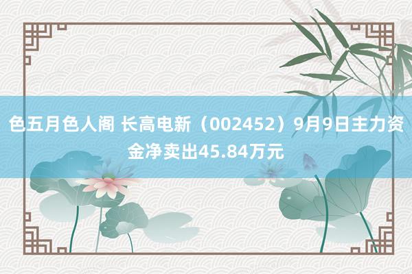 色五月色人阁 长高电新（002452）9月9日主力资金净卖出45.84万元