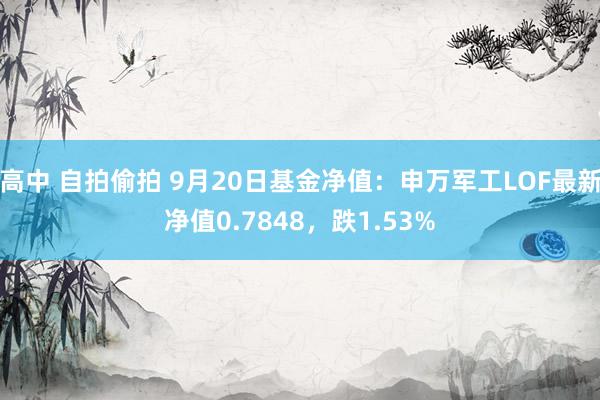 高中 自拍偷拍 9月20日基金净值：申万军工LOF最新净值0.7848，跌1.53%