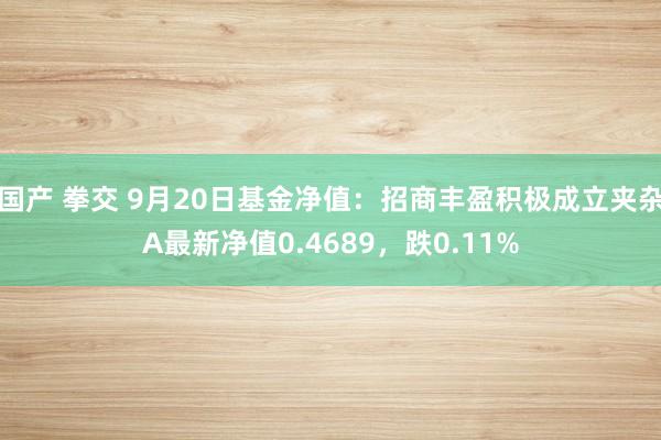 国产 拳交 9月20日基金净值：招商丰盈积极成立夹杂A最新净值0.4689，跌0.11%