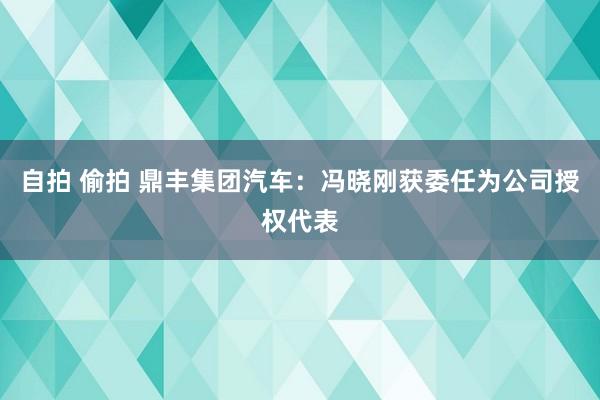 自拍 偷拍 鼎丰集团汽车：冯晓刚获委任为公司授权代表