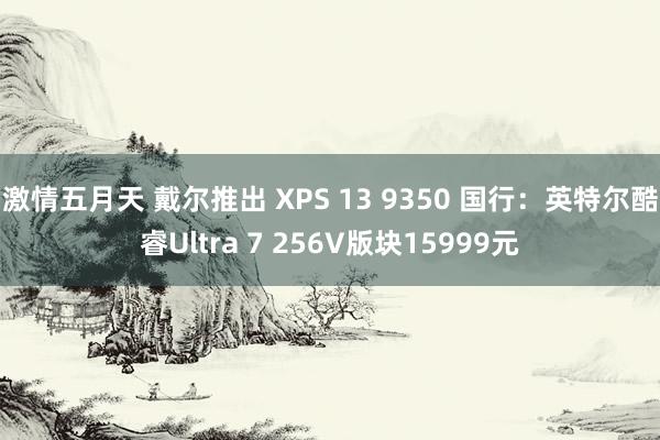 激情五月天 戴尔推出 XPS 13 9350 国行：英特尔酷睿Ultra 7 256V版块15999元