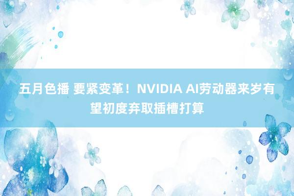 五月色播 要紧变革！NVIDIA AI劳动器来岁有望初度弃取插槽打算