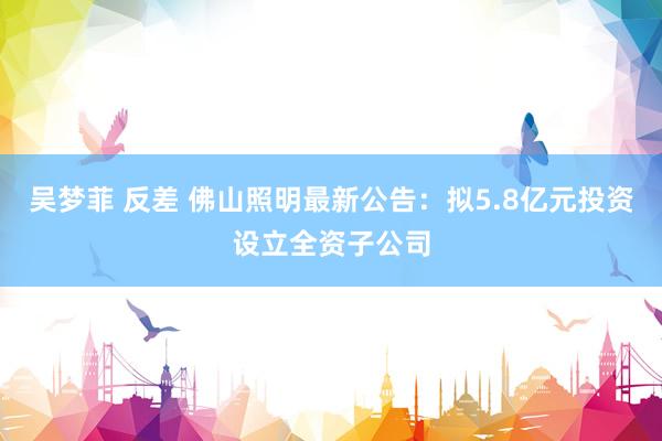 吴梦菲 反差 佛山照明最新公告：拟5.8亿元投资设立全资子公司