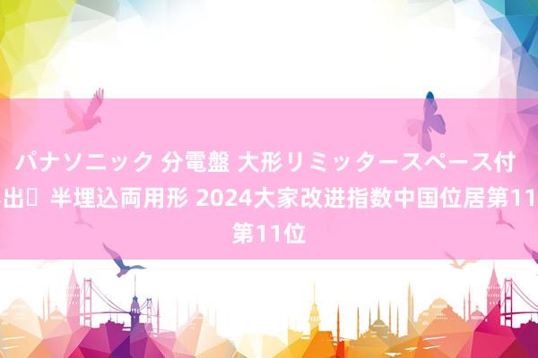 パナソニック 分電盤 大形リミッタースペース付 露出・半埋込両用形 2024大家改进指数中国位居第11位