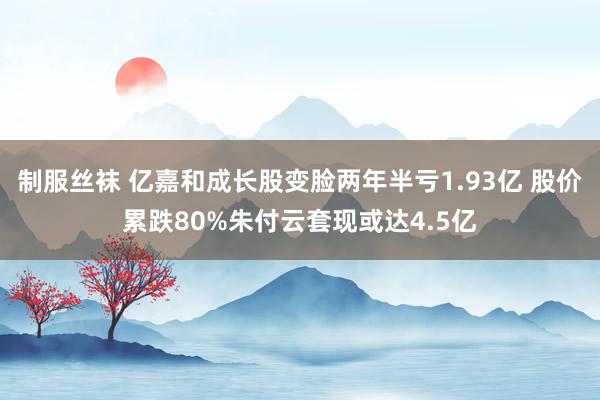 制服丝袜 亿嘉和成长股变脸两年半亏1.93亿 股价累跌80%朱付云套现或达4.5亿