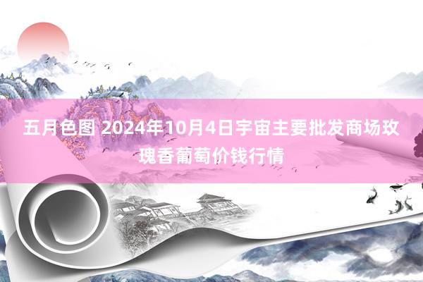 五月色图 2024年10月4日宇宙主要批发商场玫瑰香葡萄价钱行情