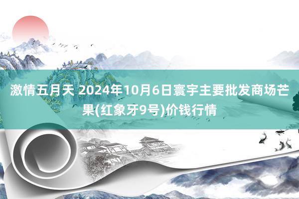 激情五月天 2024年10月6日寰宇主要批发商场芒果(红象牙9号)价钱行情