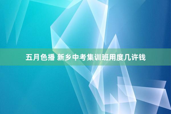 五月色播 新乡中考集训班用度几许钱