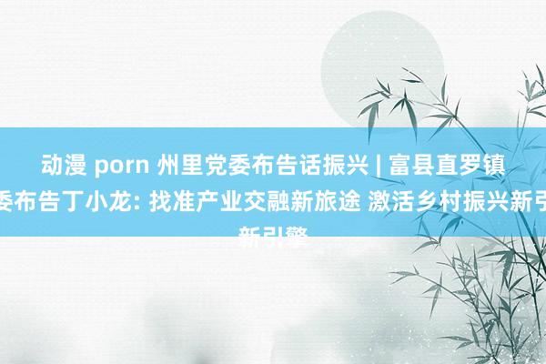 动漫 porn 州里党委布告话振兴 | 富县直罗镇党委布告丁小龙: 找准产业交融新旅途 激活乡村振兴新引擎