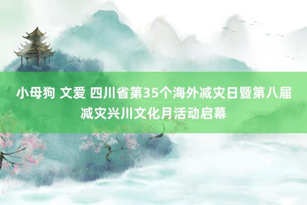 小母狗 文爱 四川省第35个海外减灾日暨第八届减灾兴川文化月活动启幕