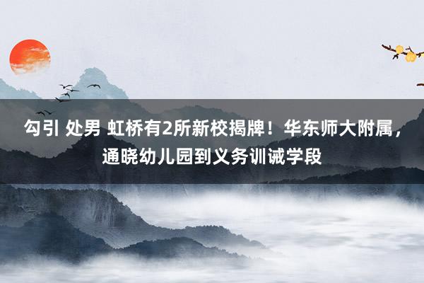 勾引 处男 虹桥有2所新校揭牌！华东师大附属，通晓幼儿园到义务训诫学段