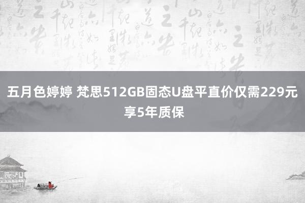 五月色婷婷 梵思512GB固态U盘平直价仅需229元 享5年质保