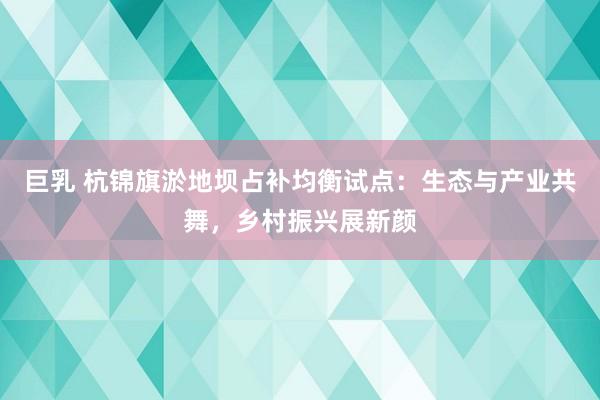 巨乳 杭锦旗淤地坝占补均衡试点：生态与产业共舞，乡村振兴展新颜