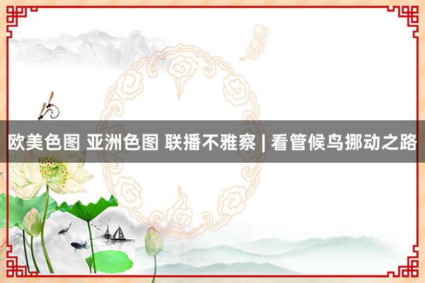 欧美色图 亚洲色图 联播不雅察 | 看管候鸟挪动之路