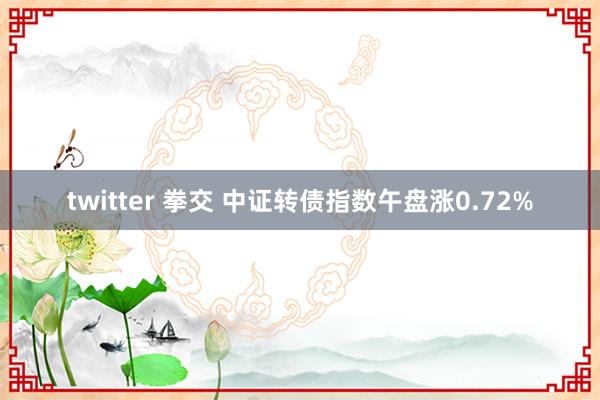 twitter 拳交 中证转债指数午盘涨0.72%