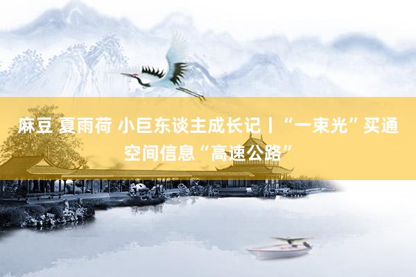 麻豆 夏雨荷 小巨东谈主成长记丨“一束光”买通空间信息“高速公路”