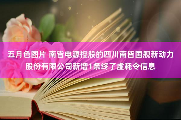 五月色图片 南皆电源控股的四川南皆国舰新动力股份有限公司新增1条终了虚耗令信息