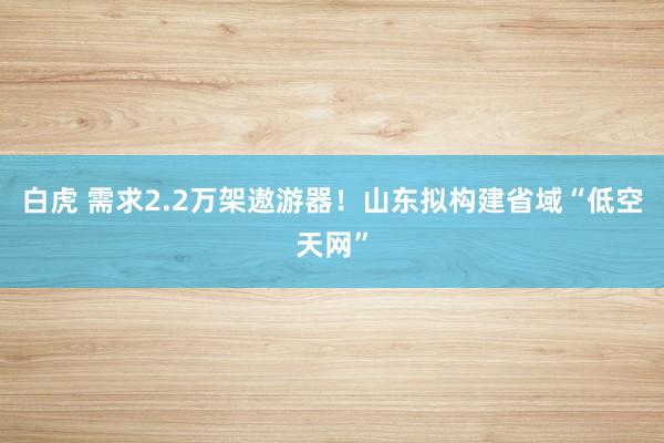 白虎 需求2.2万架遨游器！山东拟构建省域“低空天网”