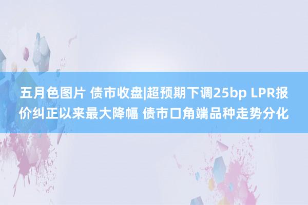 五月色图片 债市收盘|超预期下调25bp LPR报价纠正以来最大降幅 债市口角端品种走势分化