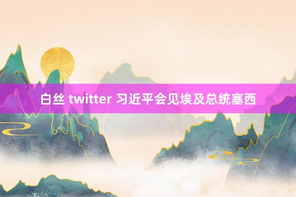 白丝 twitter 习近平会见埃及总统塞西