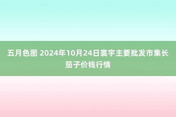 五月色图 2024年10月24日寰宇主要批发市集长茄子价钱行情