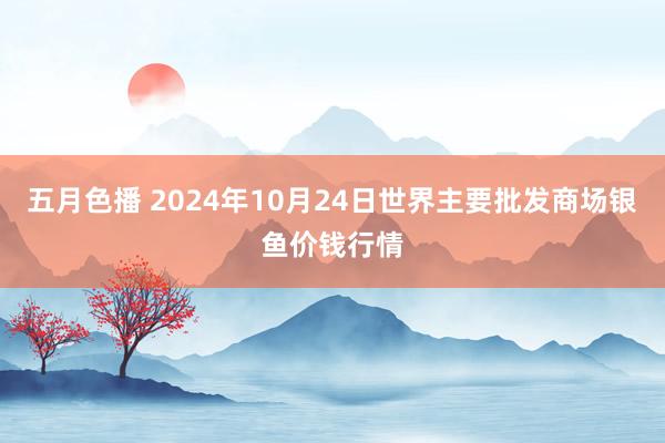 五月色播 2024年10月24日世界主要批发商场银鱼价钱行情