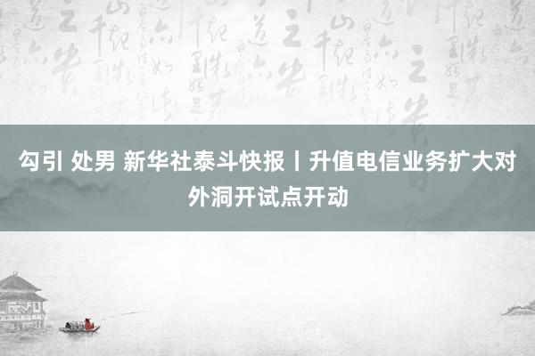 勾引 处男 新华社泰斗快报丨升值电信业务扩大对外洞开试点开动