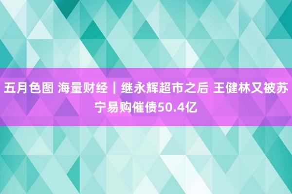 五月色图 海量财经｜继永辉超市之后 王健林又被苏宁易购催债50.4亿