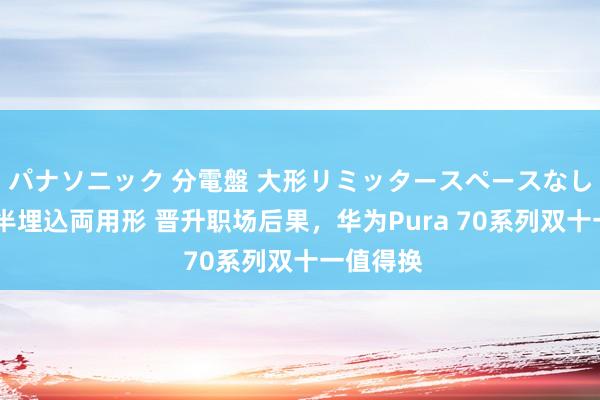 パナソニック 分電盤 大形リミッタースペースなし 露出・半埋込両用形 晋升职场后果，华为Pura 70系列双十一值得换