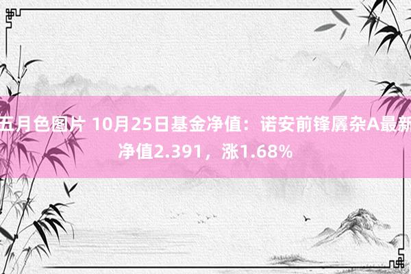 五月色图片 10月25日基金净值：诺安前锋羼杂A最新净值2.391，涨1.68%