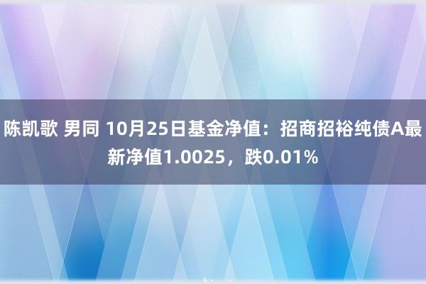 陈凯歌 男同 10月25日基金净值：招商招裕纯债A最新净值1.0025，跌0.01%