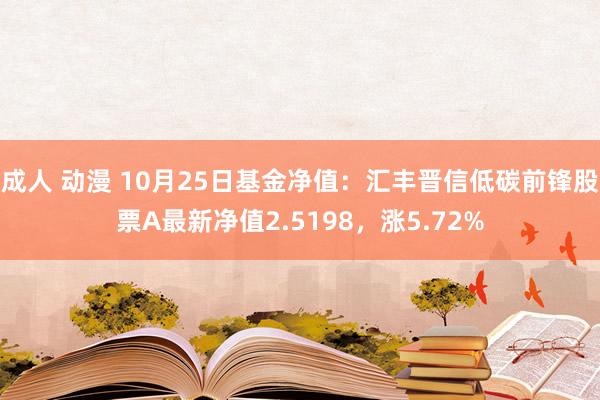 成人 动漫 10月25日基金净值：汇丰晋信低碳前锋股票A最新净值2.5198，涨5.72%