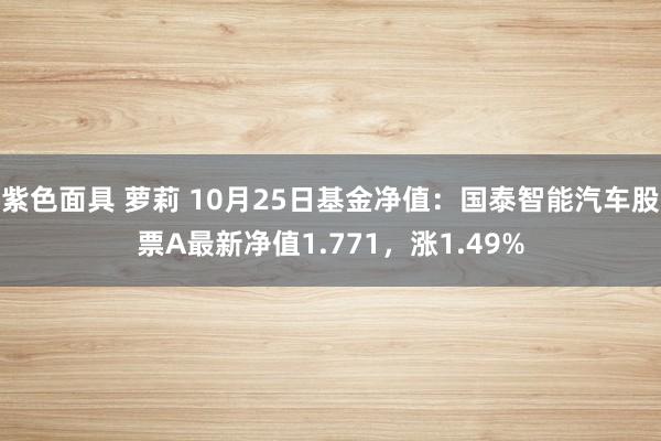 紫色面具 萝莉 10月25日基金净值：国泰智能汽车股票A最新净值1.771，涨1.49%