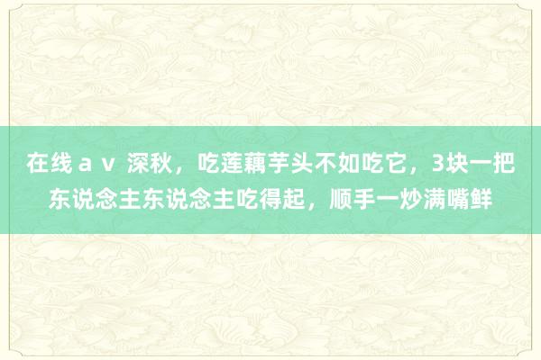 在线ａｖ 深秋，吃莲藕芋头不如吃它，3块一把东说念主东说念主吃得起，顺手一炒满嘴鲜