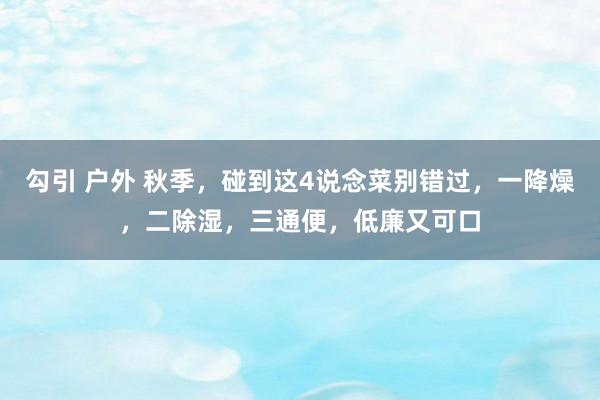 勾引 户外 秋季，碰到这4说念菜别错过，一降燥，二除湿，三通便，低廉又可口